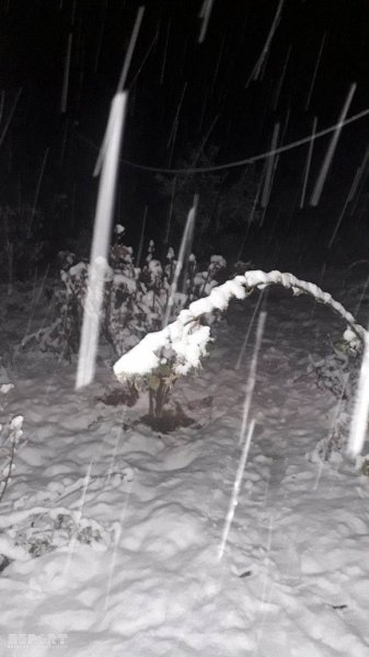 Bu rayona 16 sm. hündürlüyündə qar yağdı - FOTO