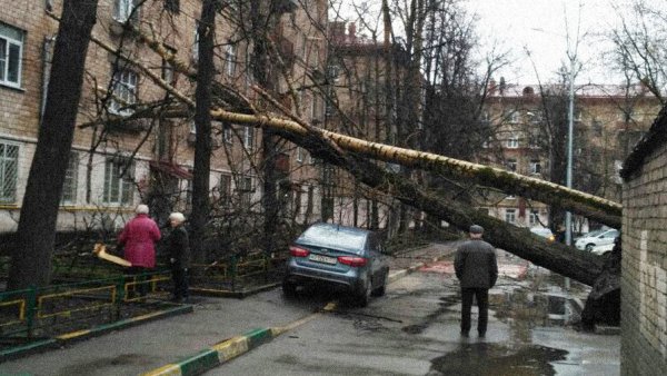 Moskvada qasırğa nəticəsində 2 nəfər ölüb, 17 nəfər xəsarət alıb Moskvada qasırğa nəticəsində 2 nəfər ölüb, 17 nəfər xəsarət alıb