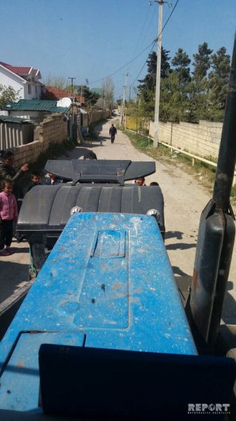 Sumqayıt sahibsiz itlərdən belə təmizlənir  - FOTOLAR