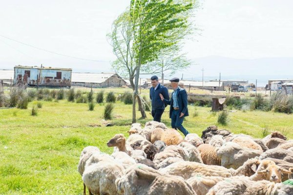 “Ömrümdə belə nazir görməmişdim” – Fermer İnam Kərimovla görüşündən danışdı - FOTO