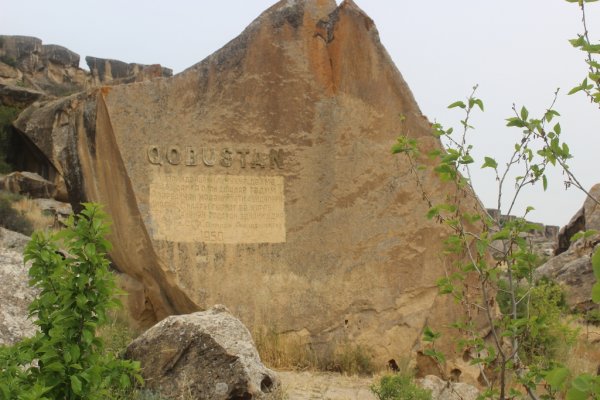 Sumqayıt Regional Mədəniyyət idarəsinin dəstəyi ilə qoruğa səyahət təşkil edilib-  FOTOLAR