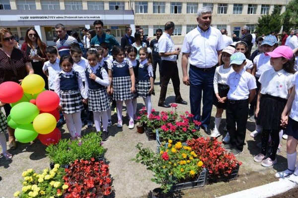 Sumqayıt kimyaçıları məktəblilərlə birgə gül əkdilər - FOTOLAR