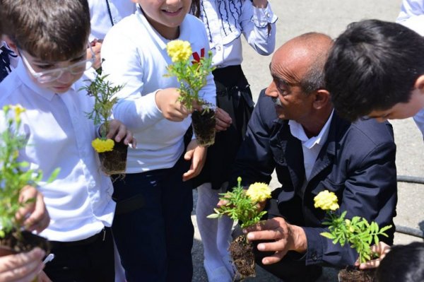 Sumqayıt kimyaçıları məktəblilərlə birgə gül əkdilər - FOTOLAR