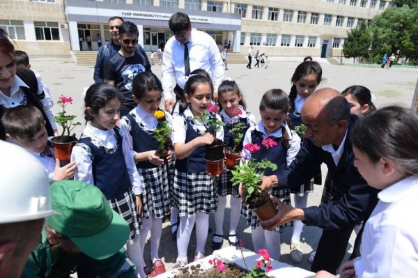Sumqayıt kimyaçıları məktəblilərlə birgə gül əkdilər - FOTOLAR
