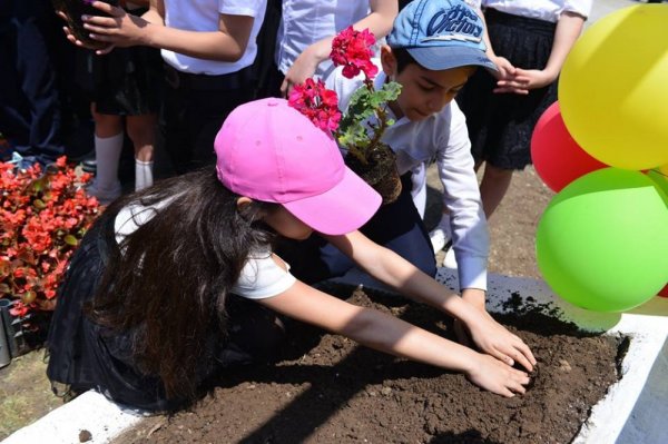 Sumqayıt kimyaçıları məktəblilərlə birgə gül əkdilər - FOTOLAR