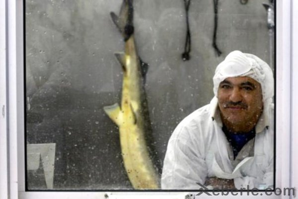 Qarnı yarıb çıxarırlar, qiyməti isə 5000 avro - FOTOLAR Qarnı yarıb çıxarırlar, qiyməti isə 5000 avro - FOTOLAR