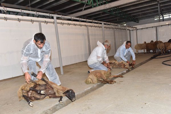 Sumqayıtda 5000 ailəyə qurban sovqatı verilib - VİDEO Sumqayıtda 5000 ailəyə qurban sovqatı verilib - VİDEO