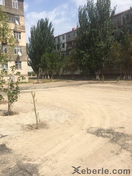 "Bütün binaların həyətlərində asfalt döşəmələri yenilənəcək" - Baş mühəndisdən Sumqayıt sakininə CAVAB