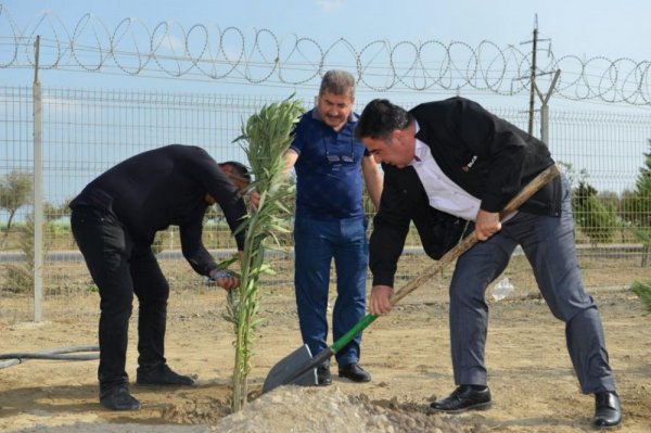 Sumqayıtda “Neftçilər günü” peşə bayramına həsr olunmuş iməcilik keçirilib