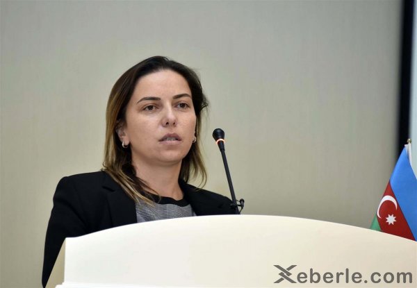Sumqayıtda gənclərin zona toplantısı keçirilib- FOTOLAR