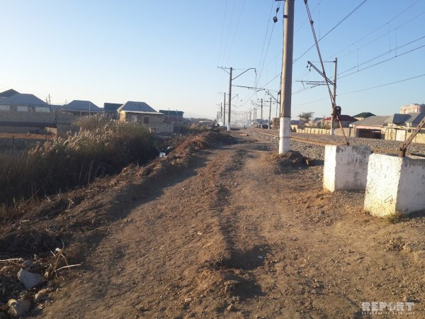 Sumqayıtın "Yaşıldərə" yaşayış massivində insan kəlləsi tapılıb - FOTOLAR