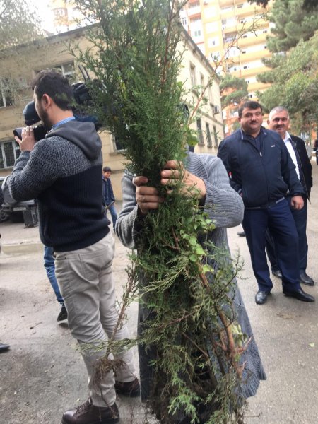 Vətəndaşlara pulsuz tinglər paylanıb-FOTO
