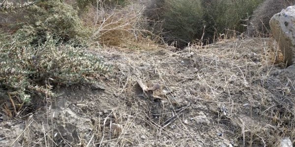 Sumqayıt Texnologiyalar Parkında 7 top mərmisi tapıldı - FOTOLAR Sumqayıt Texnologiyalar Parkında 7 top mərmisi tapıldı - FOTOLAR