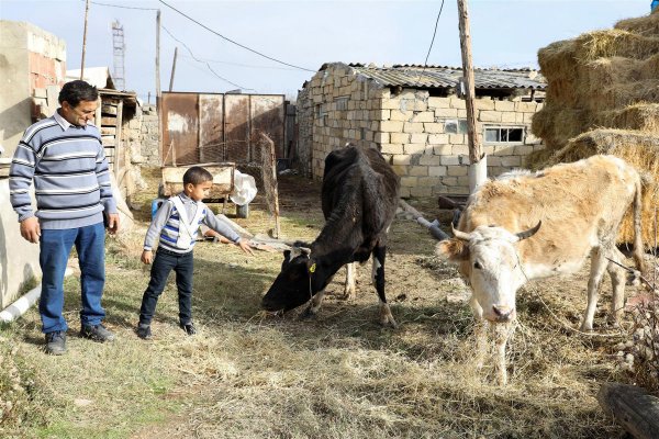 Sumqayıt və Xızıda özünüməşğulluq proqramı çərçivəsində mal və materiallar verilib - FOTOLAR