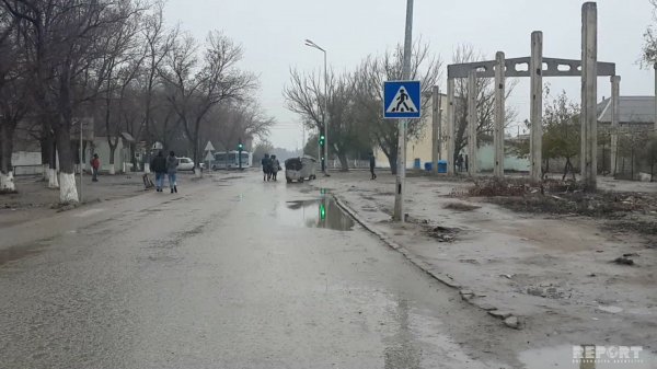 Sumqayıtda ağac məktəbli qızın üzərinə aşdı: vəziyyəti ağır qiymətləndirilir - FOTOLAR