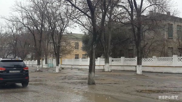 Sumqayıtda ağac məktəbli qızın üzərinə aşdı: vəziyyəti ağır qiymətləndirilir - FOTOLAR