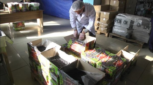 Azərbaycana gətirilən 31 ton kişmiş zərərsizləşdirildi