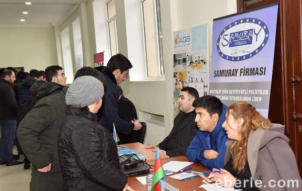 Sumqayıtda əmək yarmarkası: 30-dan çox müəssisə 270 vakant iş yeri təklif edib - FOTOLAR