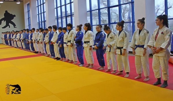 Sumqayıtda cüdo hakimləri üçün seminar keçirilib - FOTOLAR