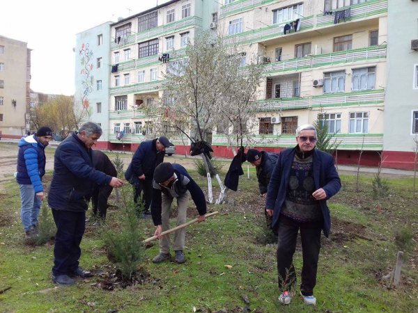 Sumqayıtda 16 görüş: sakinləri narahat edən zirzəmilərin aqibəti - AÇIQLAMA (FOTO)
