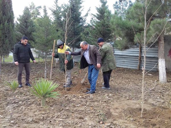 Sumqayıtda 16 görüş: sakinləri narahat edən zirzəmilərin aqibəti - AÇIQLAMA (FOTO)