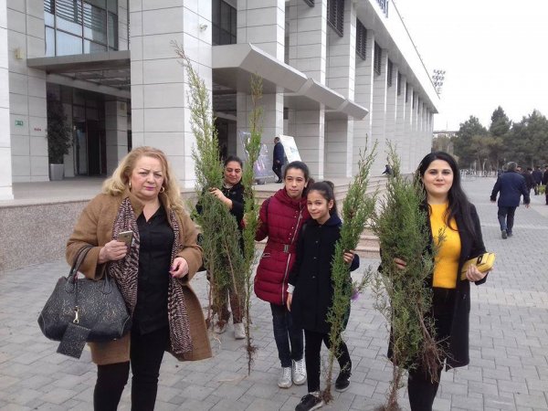 Sumqayıtda 16 görüş: sakinləri narahat edən zirzəmilərin aqibəti - AÇIQLAMA (FOTO)