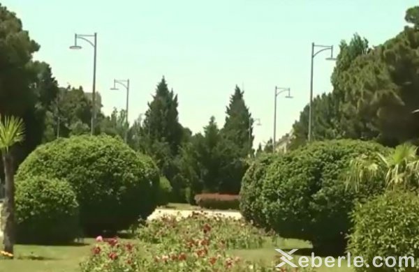 Sumqayıtda Nəsimi adına nələr var? - ARAŞDIRMA Sumqayıtda Nəsimi adına nələr var? - ARAŞDIRMA