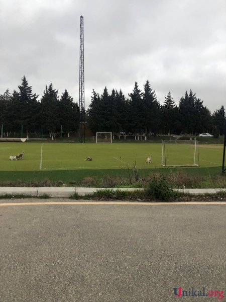 Ziya Məmmədovun məşhur hoteli söküldü - FOTOLAR