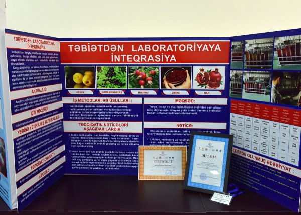Sumqayıtın bu şagirdləri “Sabahın alimləri”dir - FOTOLAR