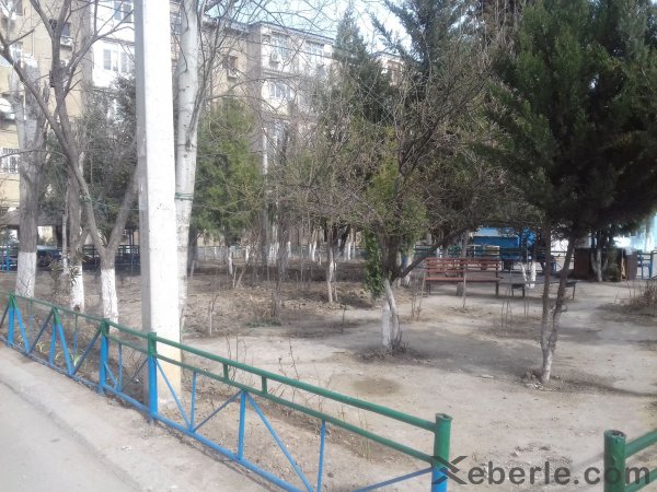Sumqayıtın bu yaşayış massivlərinin sakinlərinə bayram hədiyyəsi: Novruz bayramı günlərində... - FOTOLAR Sumqayıtın bu yaşayış massivlərinin sakinlərinə bayram hədiyyəsi: Novruz bayramı günlərində... - FOTOLAR