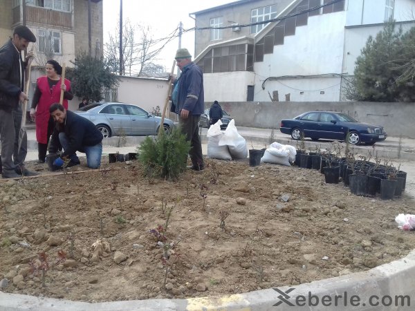 Sumqayıtın bu yaşayış massivlərinin sakinlərinə bayram hədiyyəsi: Novruz bayramı günlərində... - FOTOLAR Sumqayıtın bu yaşayış massivlərinin sakinlərinə bayram hədiyyəsi: Novruz bayramı günlərində... - FOTOLAR