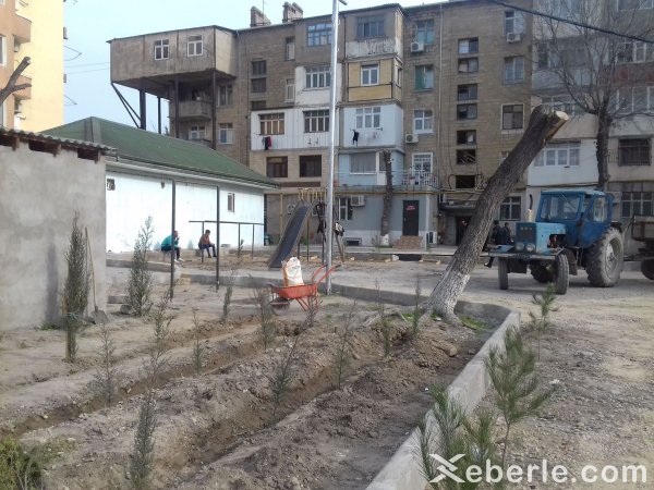 Sumqayıtın bu yaşayış massivlərinin sakinlərinə bayram hədiyyəsi: Novruz bayramı günlərində... - FOTOLAR Sumqayıtın bu yaşayış massivlərinin sakinlərinə bayram hədiyyəsi: Novruz bayramı günlərində... - FOTOLAR