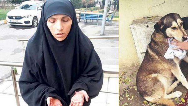Fatma küçə itlərini kəsib yeyirmiş - FOTO