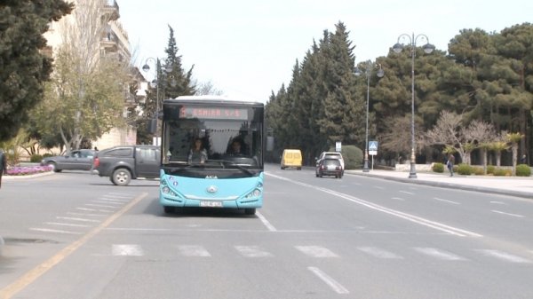 Sumqayıtda “Nəqliyyat Könüllüləri” devizi altında aksiya davam edir - FOTO