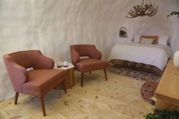 Gecəsi 200 dollar: kartofa oxşayır, amma...- FOTOLAR