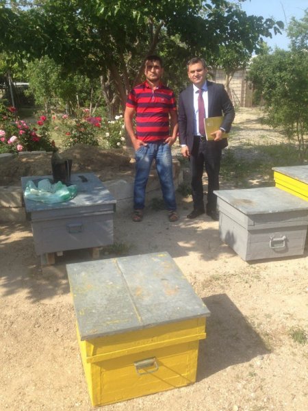 Sumqayıtda arıçıların subsidiya ilə bağlı çətinliyi həll edilib - FOTO