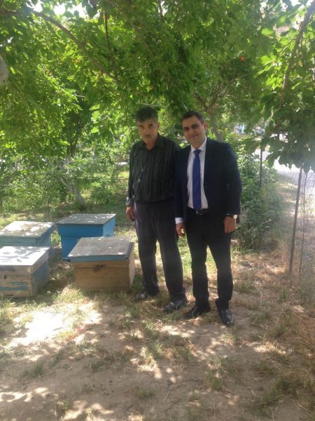 Sumqayıtda arıçıların subsidiya ilə bağlı çətinliyi həll edilib - FOTO