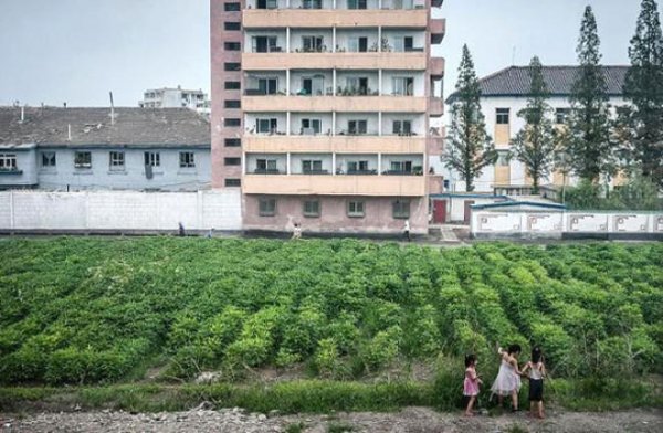 Qadın əsgər Şimali Koreya ilə bağlı dəhşətli faktları açdı: ordudakı qızları… – FOTO Qadın əsgər Şimali Koreya ilə bağlı dəhşətli faktları açdı: ordudakı qızları… – FOTO