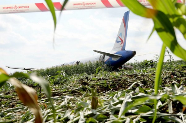 Putin quşlarla toqquşan təyyarənin pilotlarını mükafatlandıracaq