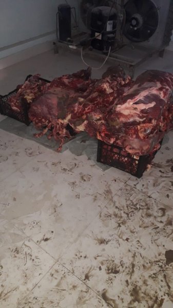 Bu dəfə leş ət satan “Bala Tofiq” ələ keçdi - FOTOLAR