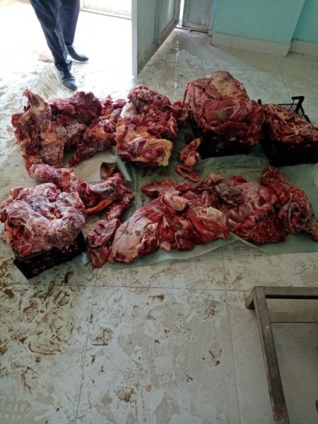 Bu dəfə leş ət satan “Bala Tofiq” ələ keçdi - FOTOLAR