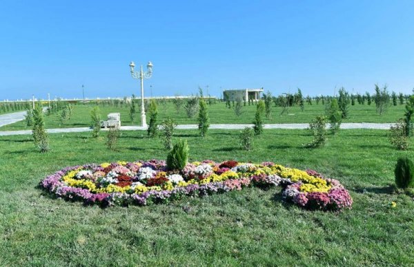 Zakir Fərəcov genişləndirilən bulvar ərazisində – FOTOLAR