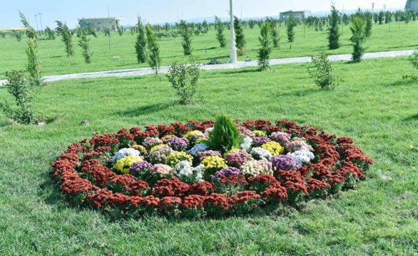 Zakir Fərəcov genişləndirilən bulvar ərazisində – FOTOLAR