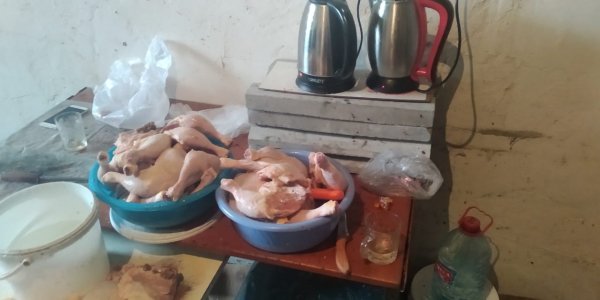 Dönərxanalara yararsız toyuq əti paylayan müəssisənin fəaliyyəti dayandırıldı - FOTOLAR