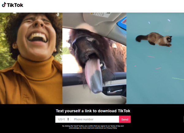 Dövlət Agentliyindən "TikTok"la bağlı əhaliyə VACİB XƏBƏR — DİQQƏTLİ OLUN!