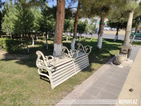 Sumqayıtda koronavirusa görə parklarda skamyalar yığışdırıldı - FOTOLAR