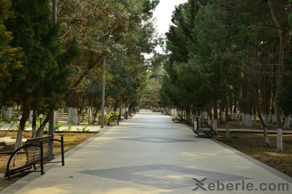 Sumqayıtda  xüsusi karantin rejiminə necə əməl edilir? - FOTOREPORTAJ