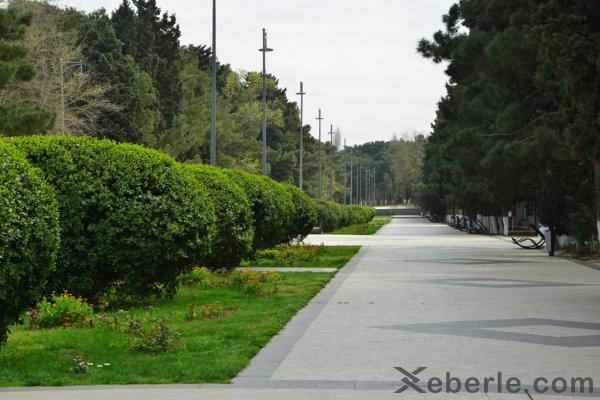 Sumqayıtda  xüsusi karantin rejiminə necə əməl edilir? - FOTOREPORTAJ