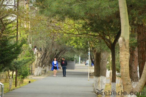 Sumqayıtda  xüsusi karantin rejiminə necə əməl edilir? - FOTOREPORTAJ