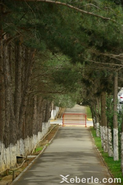 Sumqayıtda  xüsusi karantin rejiminə necə əməl edilir? - FOTOREPORTAJ